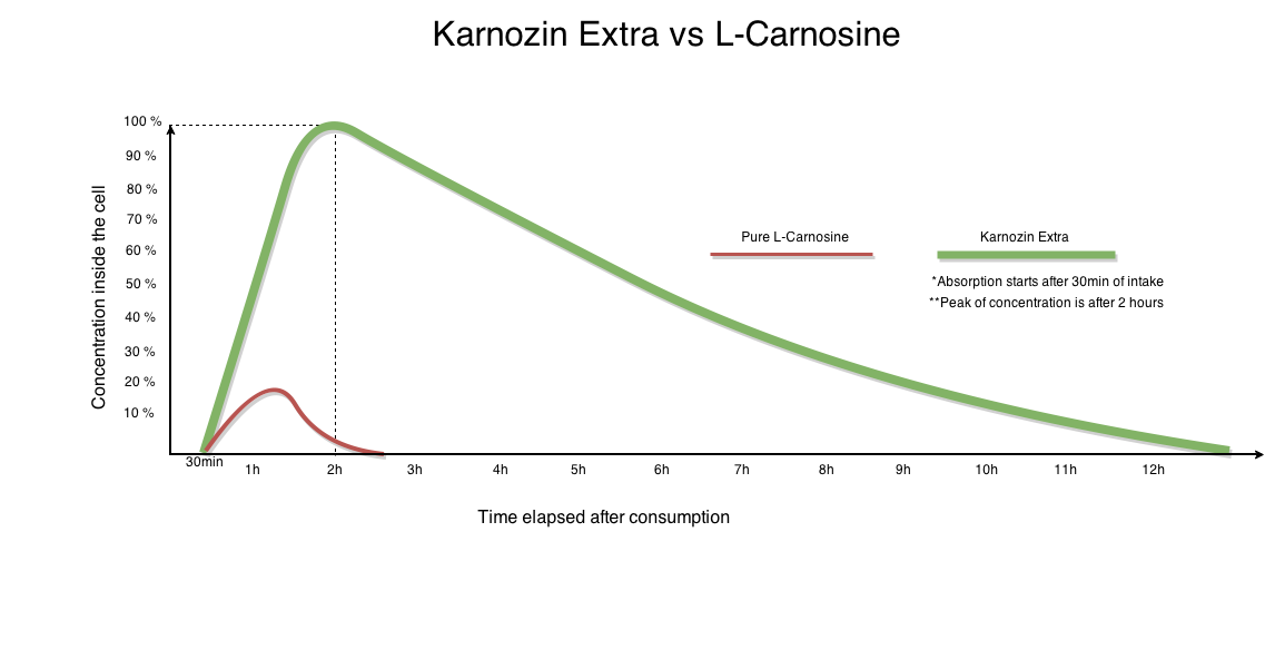 Karnozin-Extra-vs-L-Carnosine